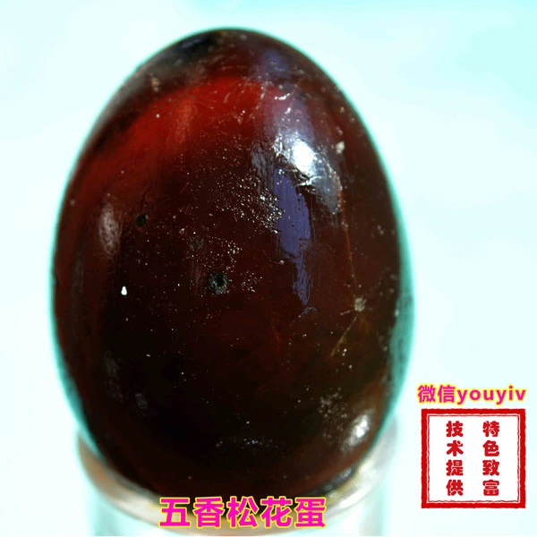 皮蛋技术 技术配方、实体教程