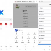 安卓X浏览器v5.0.3谷歌版