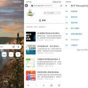 安卓微软Edge浏览器v131.0.2903.113